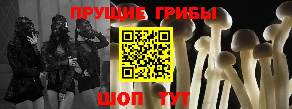 Галлюциногенные грибы мицелий Кингисепп